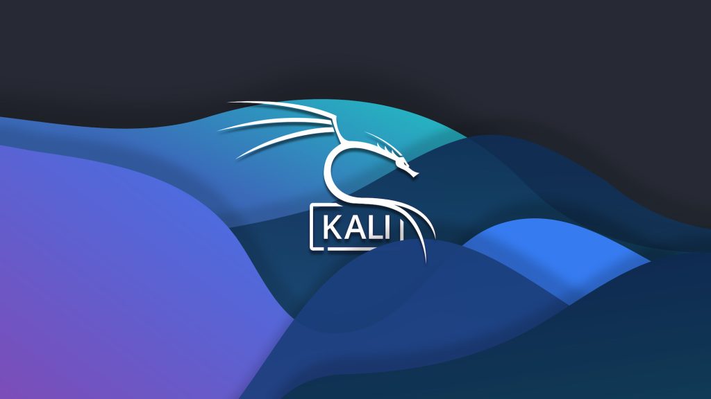 kali linux terminal komutları