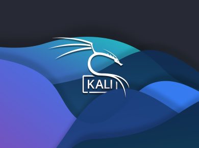 kali linux terminal komutları