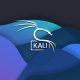 kali linux terminal komutları